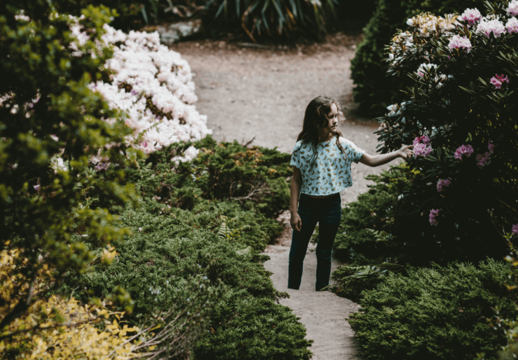Jardins secrets de paris secret gardens