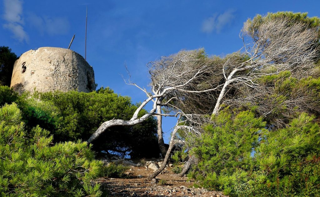 Garde-Freinet