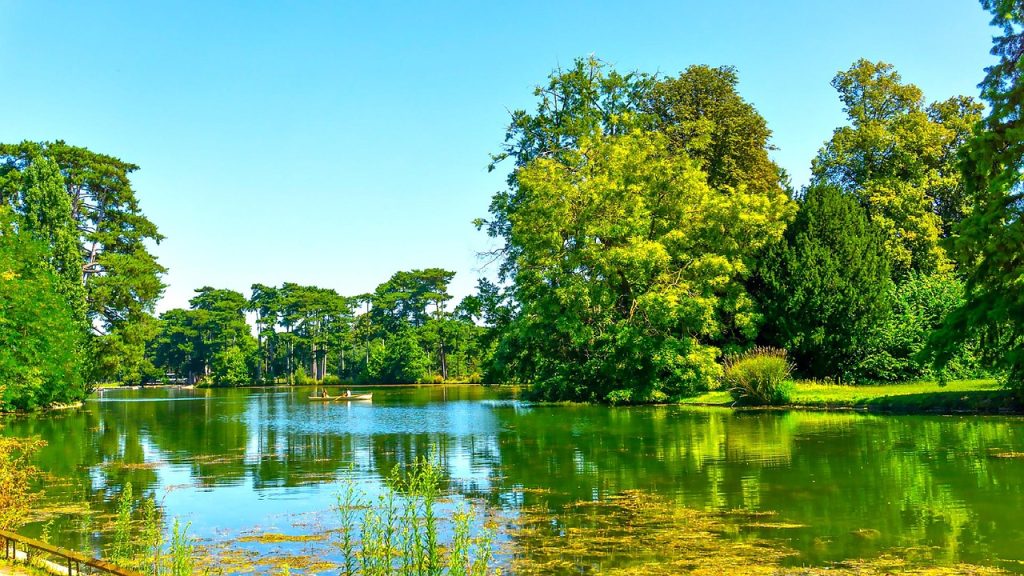 Bois de Boulogne